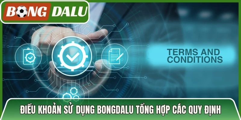 Điều khoản sử dụng Bongdalu tổng hợp các quy định