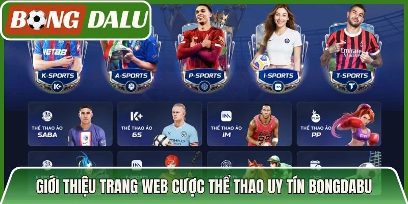 Giới thiệu trang web cược thể thao uy tín Bongdabu