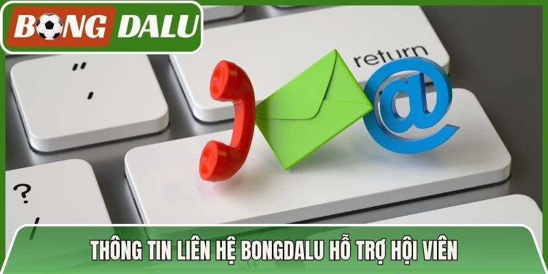 Thông tin liên hệ Bongdalu hỗ trợ hội viên